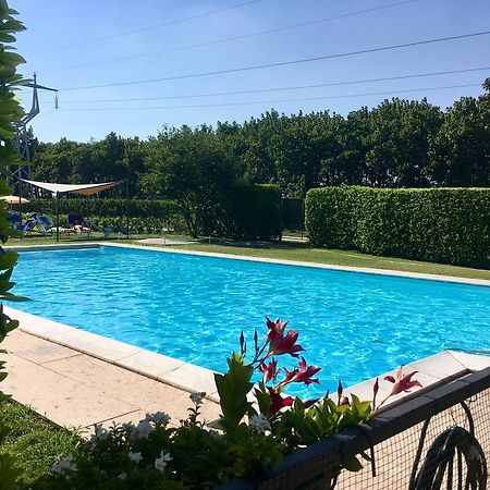 Agriturismo Corte Pellegrini San Martino Buon Albergo Exteriör bild